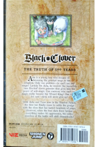 Black Clover 21 - The Truth Of 500 Years
