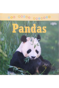 All about animals – Pandas