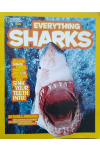 Everything Sharks